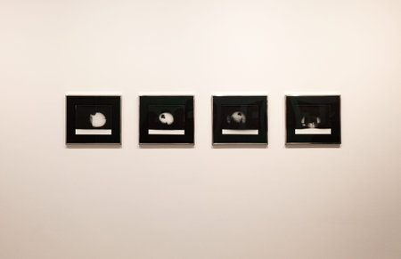 Venice, Italy - April 17, 2024: The photos of Dean Sameshima titled being alone exposed at the...