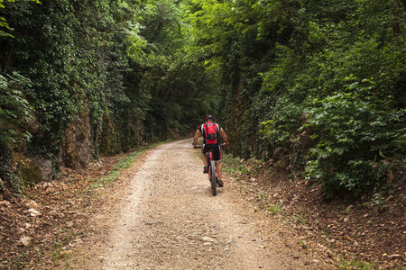 Mountain biking man riding on bike in summer mountains forest landscape in Sloveniaの写真素材