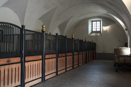 View of Lipizzan horses in the oldest stable at Lipica, Slovenia, where the famous breed has been raised for centuriesの写真素材