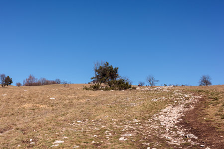 The peak of Slavnik in the spring season, Sloveniaの写真素材