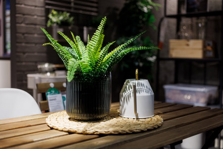 Artificial Plastic Green Plants on the table in apartment houseの写真素材