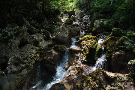 Karst rocks at alpine Lepenica river in Spring at Sunikov Vodni Gaj Nature Preserve, Sloveniaの写真素材
