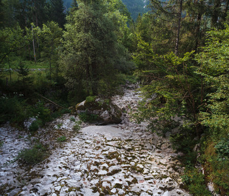 River bed in drought. Dry creek near Nature Preserve, Sloveniaの写真素材