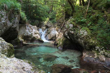 Beautiful water cascades or small waterfall in the valley of Lepena in Slovenian Julian Alps. Emerald green waterfalls in an enchanted forest. Sunikov Vodni Gaj Nature Preserve, Sloveniaの写真素材
