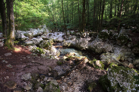 Karst rocks at alpine Lepenica river in Spring at Sunikov Vodni Gaj Nature Preserve, Sloveniaの写真素材
