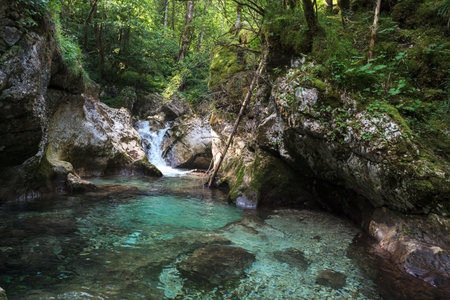 Beautiful water cascades or small waterfall in the valley of Lepena in Slovenian Julian Alps. Emerald green waterfalls in an enchanted forest. Sunikov Vodni Gaj Nature Preserve, Sloveniaの写真素材