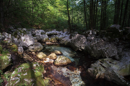 Karst rocks at alpine Lepenica river in Spring at Sunikov Vodni Gaj Nature Preserve, Sloveniaの写真素材