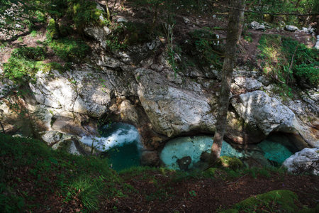 Karst rocks at alpine Lepenica river in Spring at Sunikov Vodni Gaj Nature Preserve, Sloveniaの写真素材