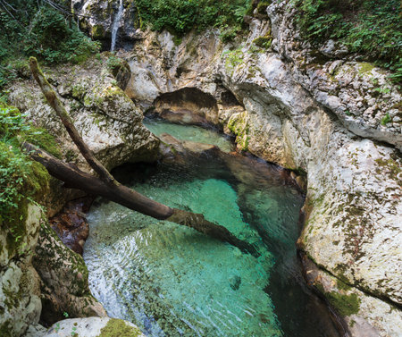 Beautiful water cascades or small waterfall in the valley of Lepena in Slovenian Julian Alps. Emerald green waterfalls in an enchanted forest. Sunikov Vodni Gaj Nature Preserve, Sloveniaの写真素材