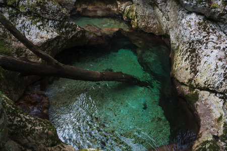 Karst rocks at alpine Lepenica river in Spring at Sunikov Vodni Gaj Nature Preserve, Sloveniaの写真素材