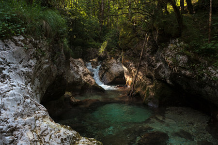 Beautiful water cascades or small waterfall in the valley of Lepena in Slovenian Julian Alps. Emerald green waterfalls in an enchanted forest. Sunikov Vodni Gaj Nature Preserve, Sloveniaの写真素材