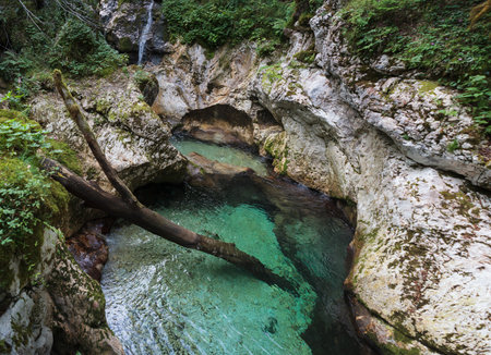 Beautiful water cascades or small waterfall in the valley of Lepena in Slovenian Julian Alps. Emerald green waterfalls in an enchanted forest. Sunikov Vodni Gaj Nature Preserve, Sloveniaの写真素材