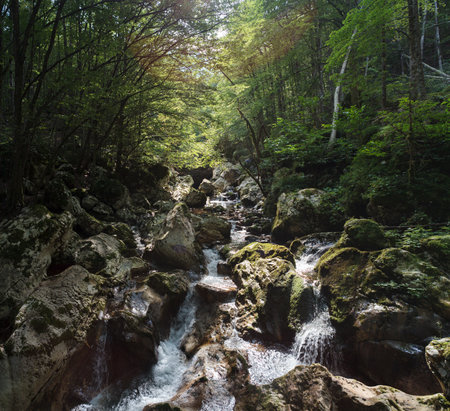 Karst rocks at alpine Lepenica river in Spring at Sunikov Vodni Gaj Nature Preserve, Sloveniaの写真素材