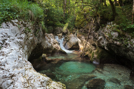 Beautiful water cascades or small waterfall in the valley of Lepena in Slovenian Julian Alps. Emerald green waterfalls in an enchanted forest. Sunikov Vodni Gaj Nature Preserve, Sloveniaの写真素材