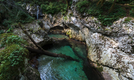 Beautiful water cascades or small waterfall in the valley of Lepena in Slovenian Julian Alps. Emerald green waterfalls in an enchanted forest. Sunikov Vodni Gaj Nature Preserve, Sloveniaの写真素材