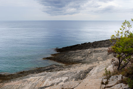 The rugged limestone landscape of the Kamenjak National Park on the Premantura peninsula in Medulin municipality, Istria, Croatia in the summer seasonの写真素材