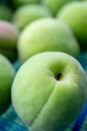 unripe green plumsの写真素材