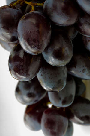 Close up, berries of dark bunch of grape with water drops in low light isolated on black backgroundの写真素材