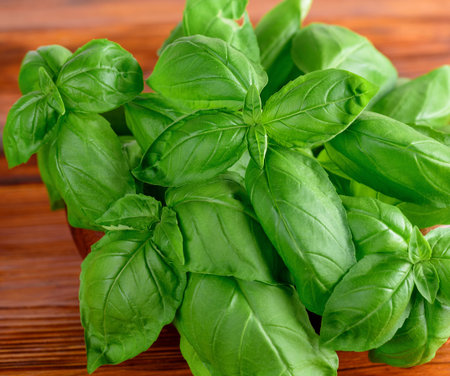 Fresh basil leaves on wooden or stone board