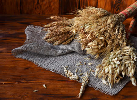 Ears of various cereals wheat, oats, rye and others on a wooden backgroundの写真素材