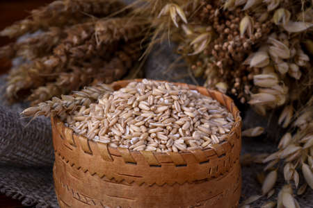 Grains of whole oats in a wicker box and ears of various cereals wheat, oats, rye and others on a wooden backgroundの写真素材