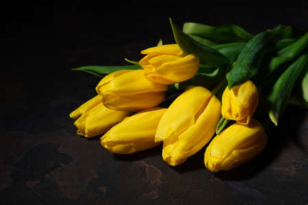 Bunch of yellow tulips on a dark backgroundの写真素材