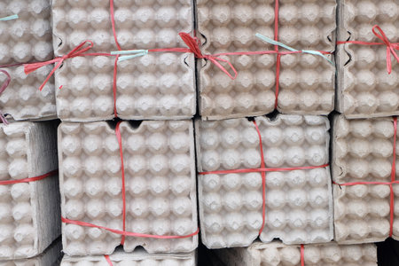 egg cardboard texture background