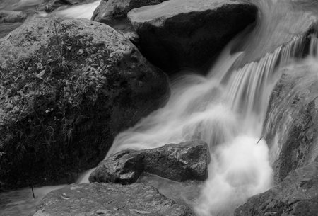 Caught in the stream