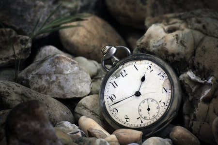 Pocket watch underwater with stones and plant
