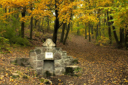 Old well in deep forest at autumnのeditorial素材