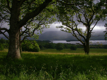 A landscape 5 km northwest of Killarney, in County Kerry, Ireland.