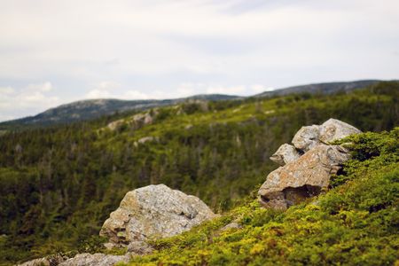 Landscape shot along the coastline of Newfoundland.の写真素材