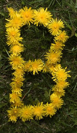 Letter B in dandelions on a grass background. の写真素材