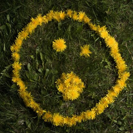 The shocked expression of a smiley face in dandelions on a lawn.の写真素材