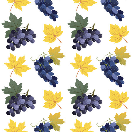 Grape fruits autumn harvest seamless pattern. Bunches with fresh blue grapes and leaves on white background design used for wrapping paper, cards, banners, wine packages, menus. Vector illustration.のイラスト素材