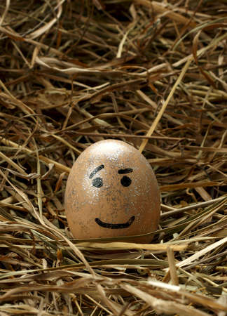 Smiley egg in nestの写真素材