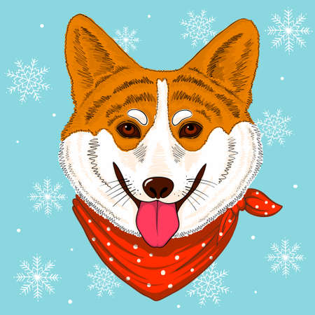 Hand drawn vector corgy dog wearing bandanaのイラスト素材