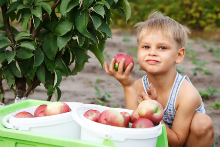 Portrait  adorable  boy with an apple in his hand.の写真素材