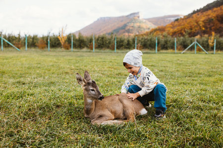Little boy playing with deer in the park on autumn day. Child and animal concept.の写真素材