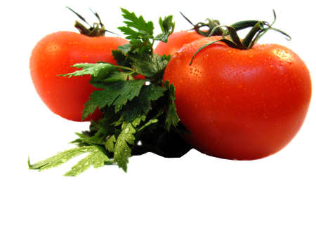 Ripe, juicy tomatoes with drops of dew and parsley                               の写真素材