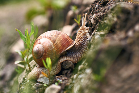 Traveling smail is optimisticの写真素材