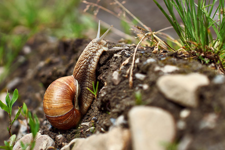 Traveling smail is optimisticの写真素材