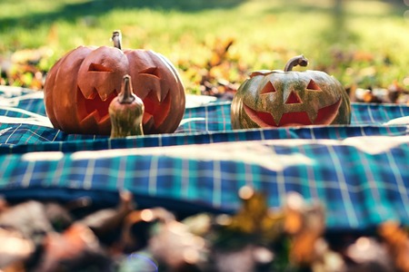 Halloween pumpkins outdoor in parkの写真素材