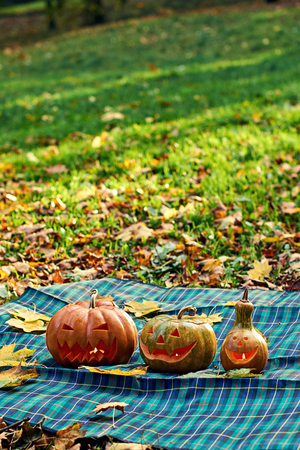 Halloween pumpkins outdoor in the autumn parkの写真素材