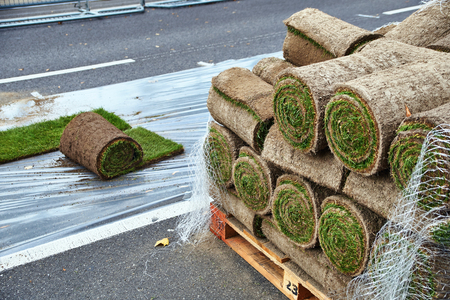 Sod rolls ready to be laid on the roadの写真素材