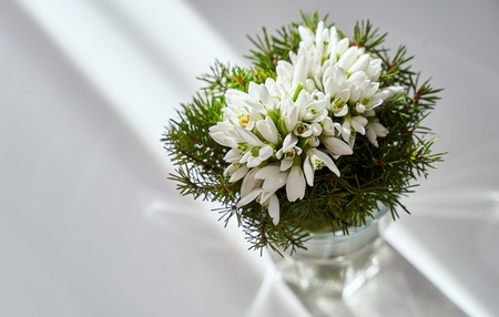 Spring holiday snowdrop flower bouquet in a glass vase at homeの写真素材