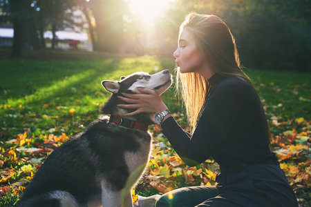 Young beautiful girl playing with her cute husky dog pet in autumn park covered with red and yellow fallen leavesの写真素材