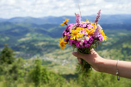 Woman hand holding a colorful bouquet of wild flowers on the mountain top with mountains landscape on backgroundの写真素材