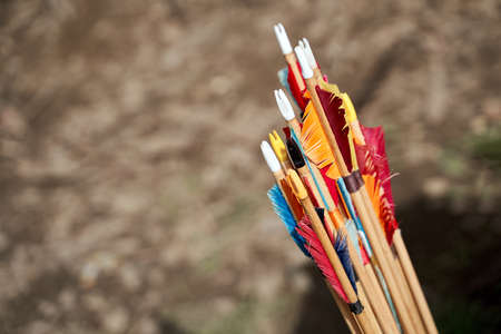 Colorful fletching of arrows. A fin-shaped aerodynamic stabilization. Copy space.の写真素材