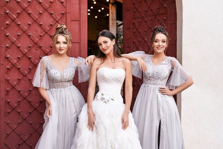 Beautiful bride and bridesmaids in gorgeous elegant stylish light grey silver floor length dresses in old beautiful European city on a wedding day.の写真素材